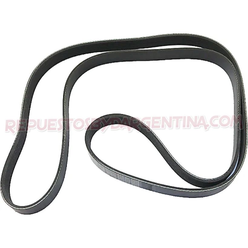 Byd Argentina Modelos - Cinturón Serpentino